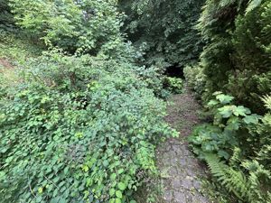 Photo 27- click for photo gallery